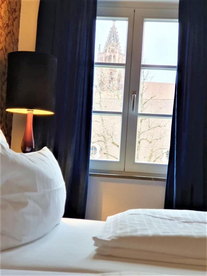 Luxus Apartment Ludwigxv Freiburg im Breisgau Ngoại thất bức ảnh