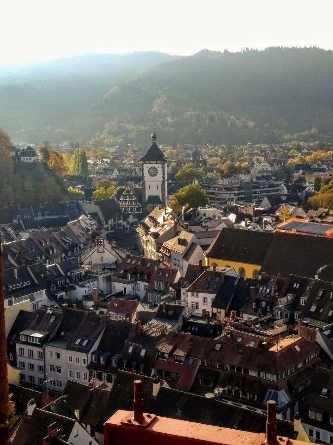 Luxus Apartment Ludwigxv Freiburg im Breisgau Ngoại thất bức ảnh